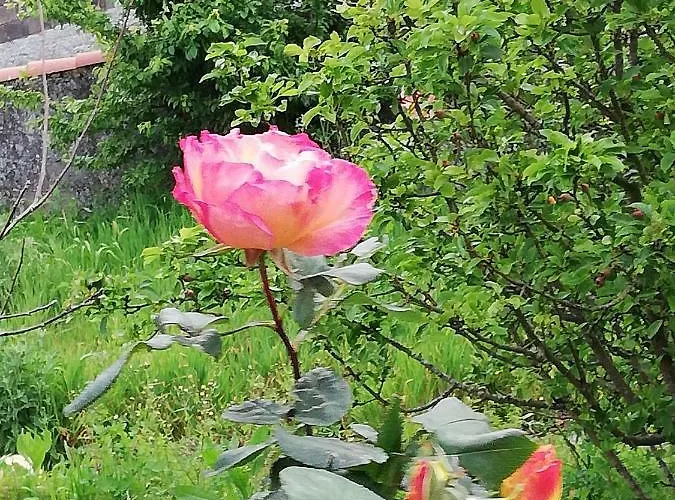 O Encontro Auberge de jeunesse *