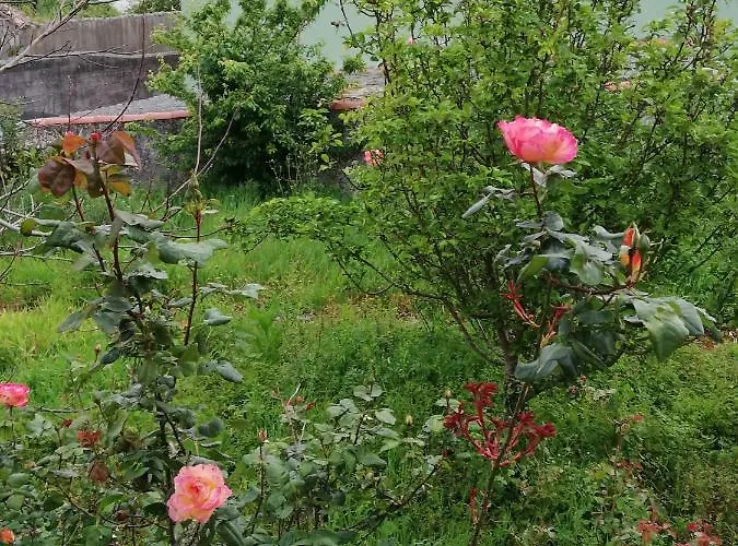 O Encontro Auberge de jeunesse *