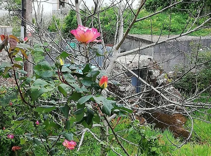 Auberge de jeunesse O Encontro *